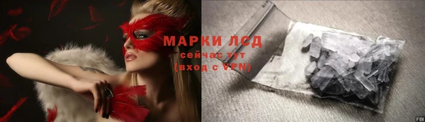 СК Краснослободск