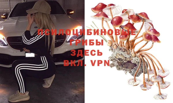 СК Краснослободск