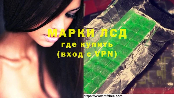СК Краснослободск