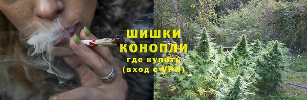 СК Краснослободск